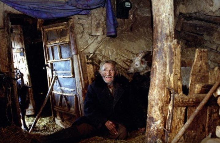 баклушин фамилия. детский труд в бразилии. разруха в россии. переселенцы в енисейскую губернию. фамилия нищета.