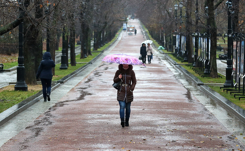 Какое лето ожидается в москве. 16 Градусов тепла. Дождливая Россия. Тепло в Москве фото. Ближайший дождь.