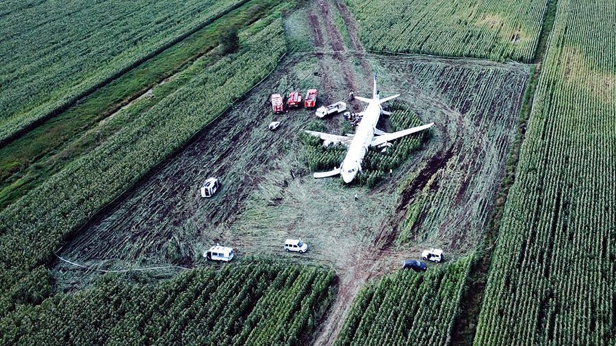 Пилоты посадили на поле. А321 Уральские авиалинии кукурузное поле. Аэробус а321 в кукурузном поле. Экипаж а321 кукурузник. Уральские авиалинии кукурузное поле.