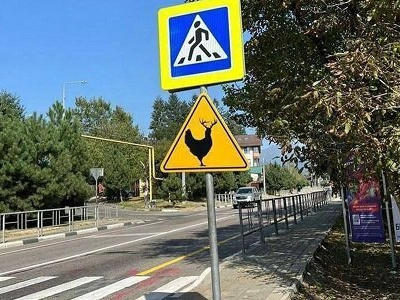 В Сочи развесили дорожные знаки с невиданным животным