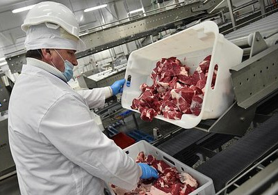 Из России все больше вывозят мяса
