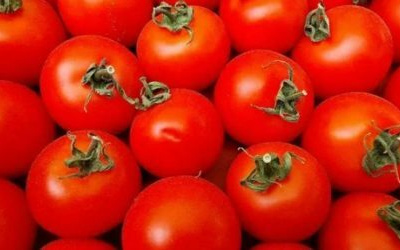 Почему нельзя хранить помидоры в холодильнике: запомните на всю жизнь