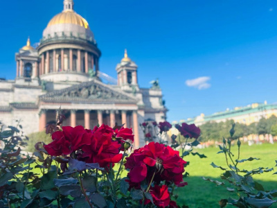 Синоптик сказал, когда в Петербург придут дожди